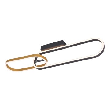 Zuma Line - Plafonieră LED 2xLED/24W/230V negru/auriu