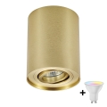 Zuma Line - Spot LED RGBW reglabil 1x GU10/4,8W/230V, auriu + telecomandă