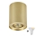 Zuma Line - Spot LED RGBW reglabil 1x GU10/4,8W/230V, auriu + telecomandă