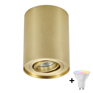 Zuma Line - Spot LED RGBW reglabil 1x GU10/6W/230V, auriu + telecomandă