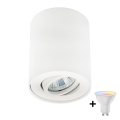 Zuma Line - Spot LED RGBW reglabil 1xGU10/4,8W/230V alb + telecomandă